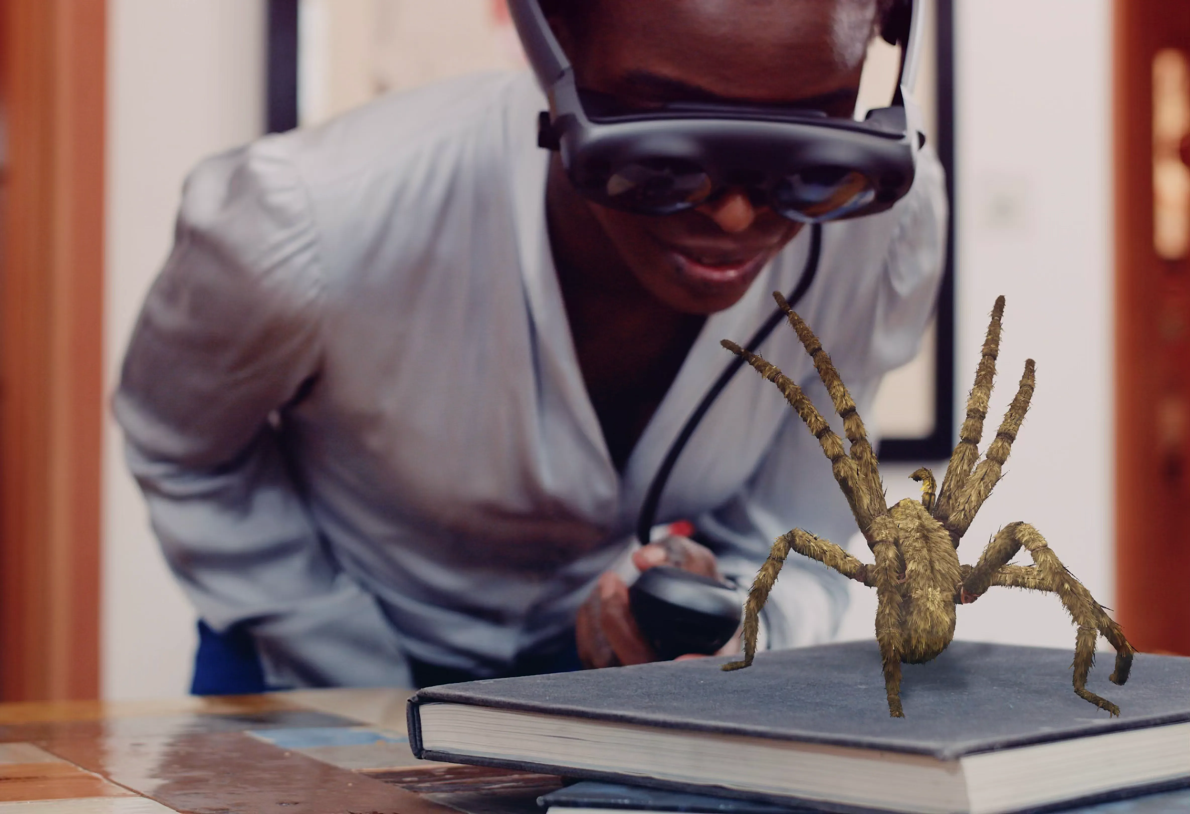 Artisans, Oceans, Insects & Stephen Fry.